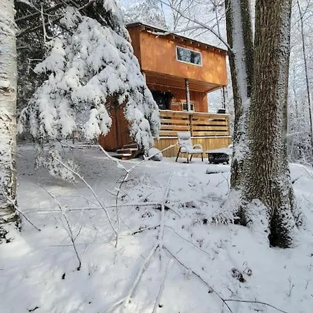 Vana Kuti-Cabin In The Woods Camden Extérieur photo