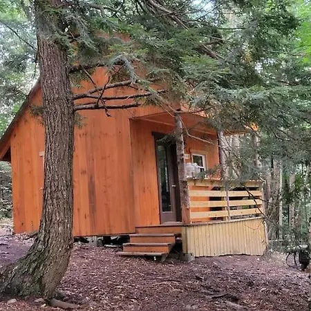 Vana Kuti-Cabin In The Woods Camden Extérieur photo