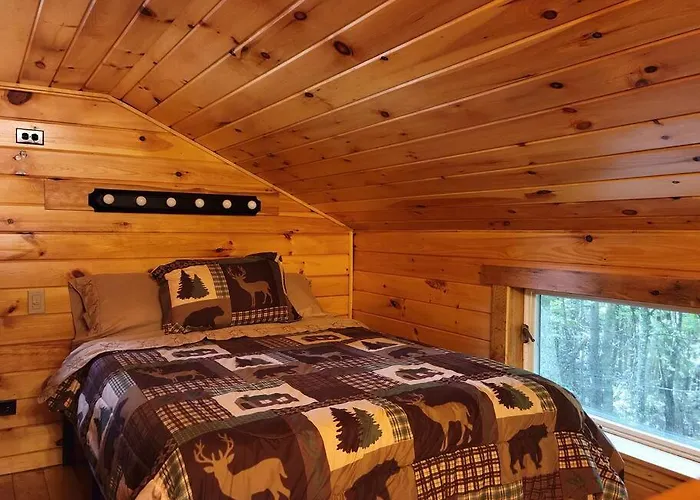 Vana Kuti-Cabin In The Woods