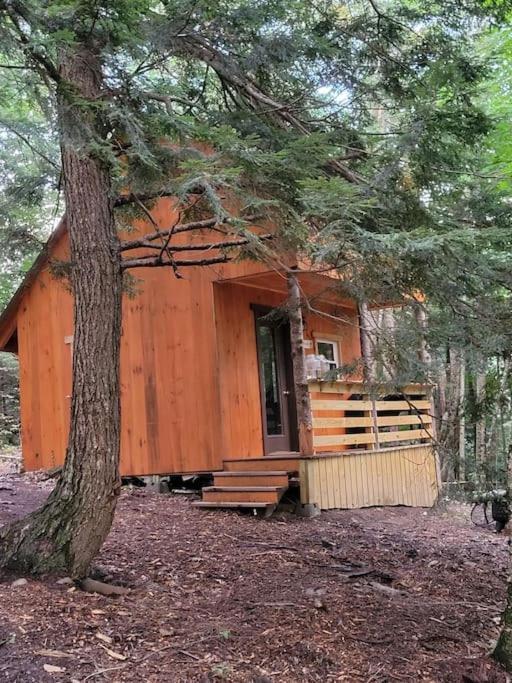 Vana Kuti-cabin In The Woods * Camden