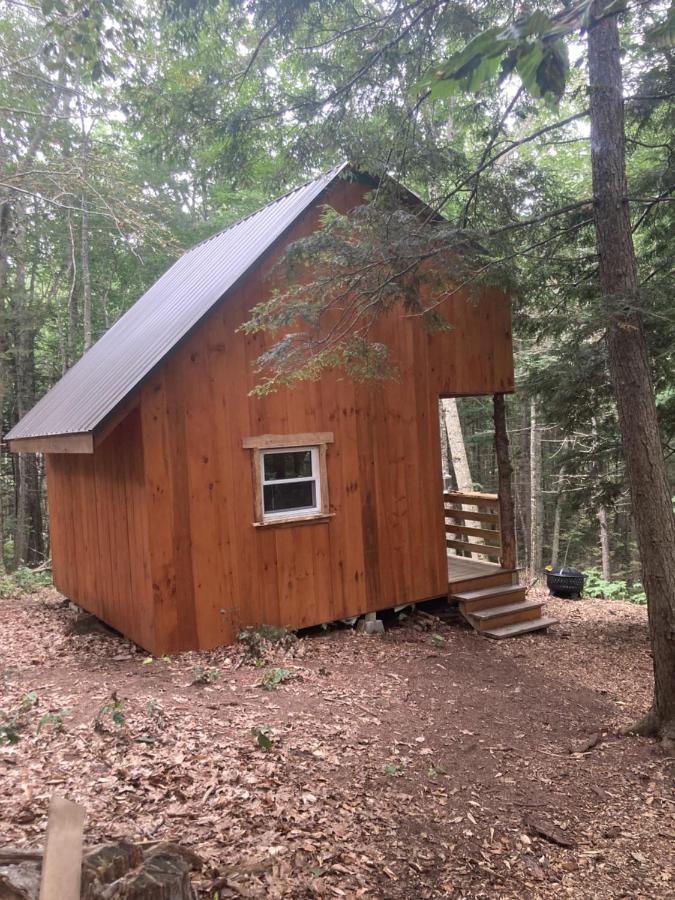 Сasa de vacaciones Vana Kuti-cabin In The Woods