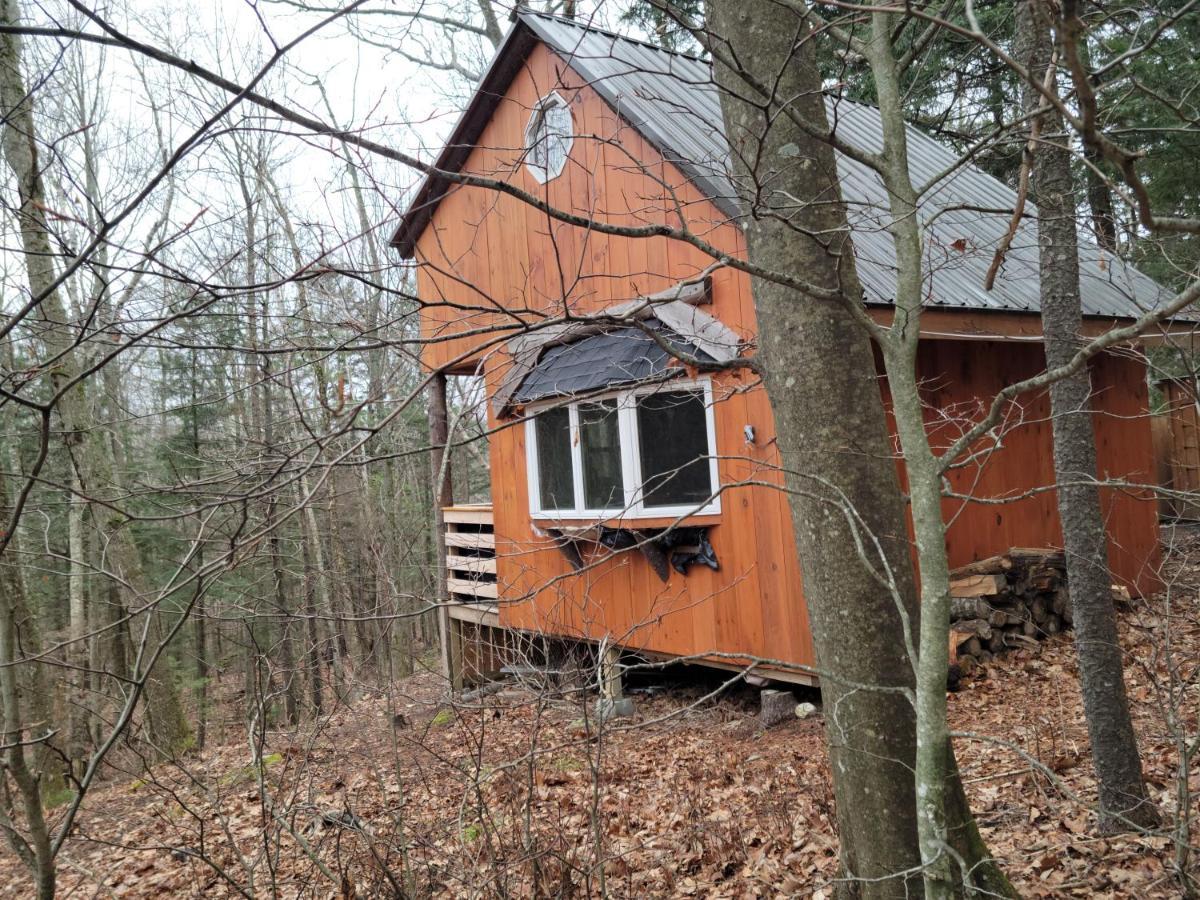 Vana Kuti-cabin In The Woods Hébergement de vacances *