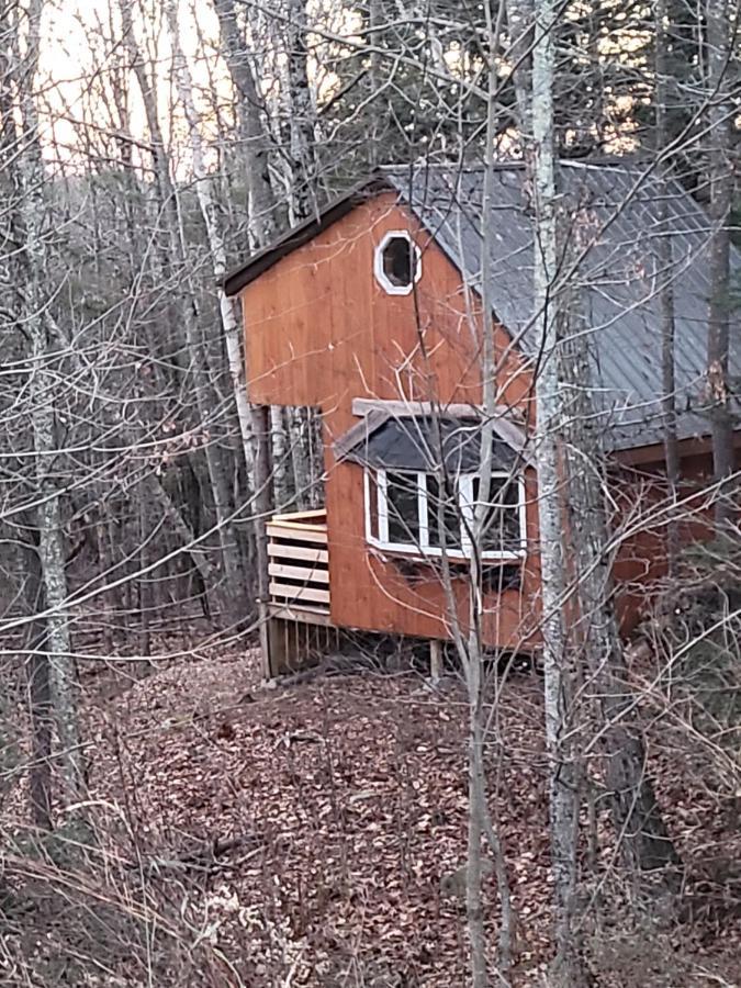 Vana Kuti-cabin In The Woods Hébergement de vacances *
